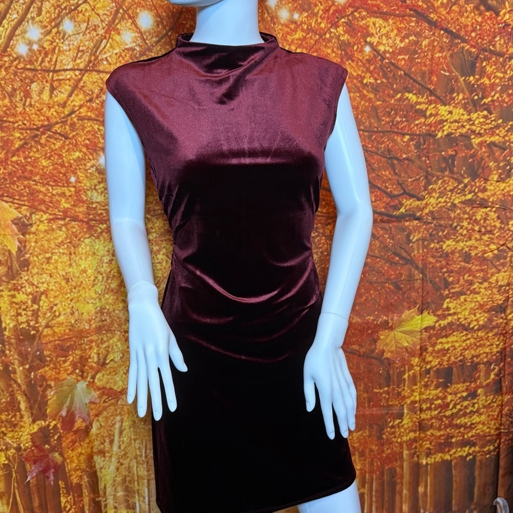 Blu Pepper Burgundy Velvet Mini Dress